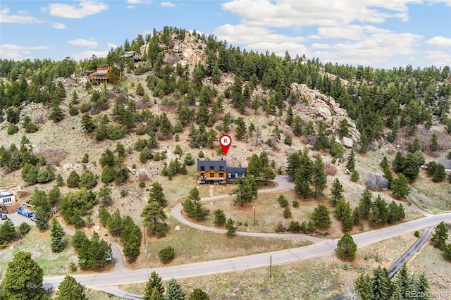 6640 Kilimanjaro Dr, Evergreen, CO 80439 - drone / aerial view