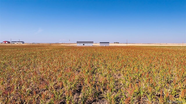 6 Timberlake Ct, Byers, CO 80103 - view of yard featuring a rural view