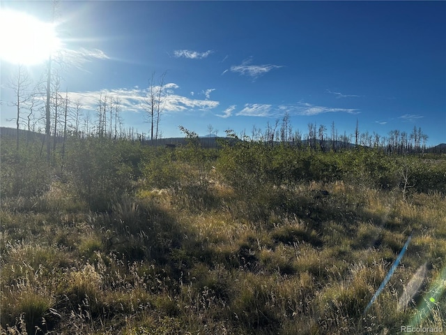 1312 Claytor Ln, Fort Garland, CO 81133