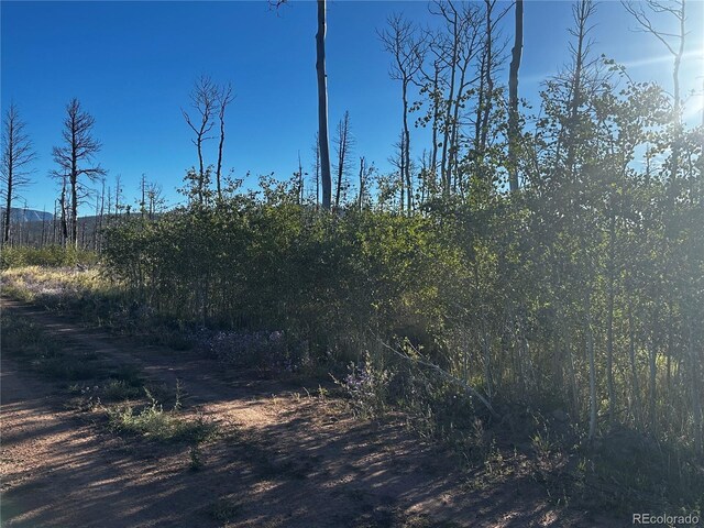 1312 Claytor Ln, Fort Garland, CO 81133