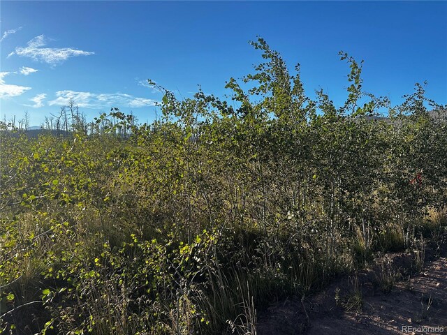 1312 Claytor Ln, Fort Garland, CO 81133
