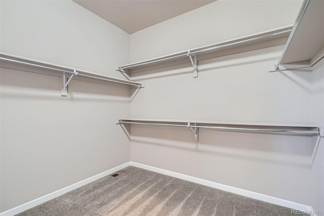 15437 W 95th Ave, Arvada, CO 80007 - walk in closet with carpet