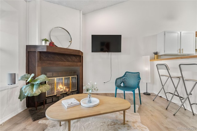 3050 W 107th Pl Unit E, Westminster, CO 80031 - living area featuring light wood finished floors, baseboards, and a glass covered fireplace
