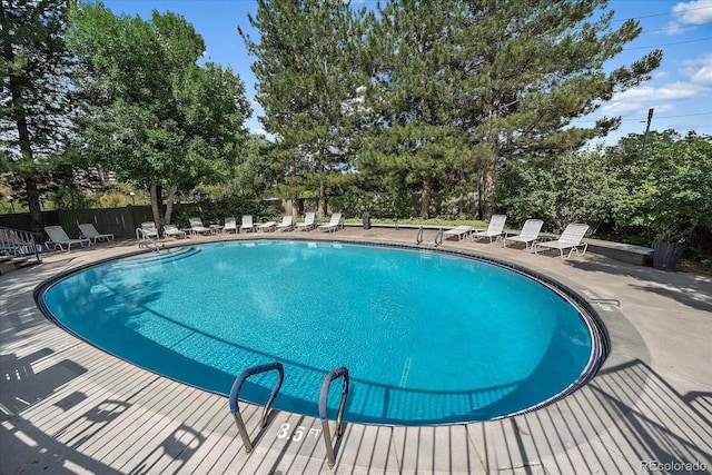 view of swimming pool with a patio area