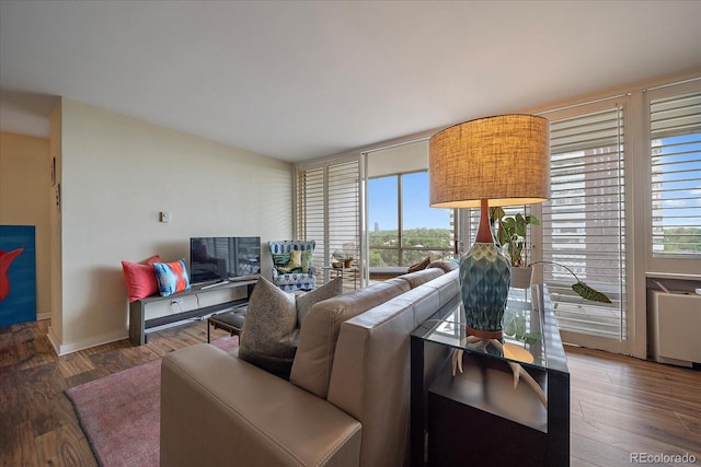 living room with hardwood / wood-style floors