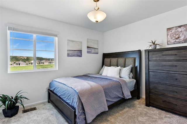 3699 Makley Cir, Castle Rock, CO 80104 - bedroom featuring carpet floors and baseboards