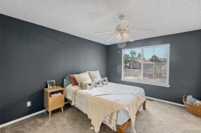 4393 E Andover Ave, Castle Rock, CO 80104 - photo 18