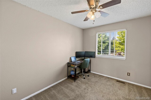 4393 E Andover Ave, Castle Rock, CO 80104 - photo 24
