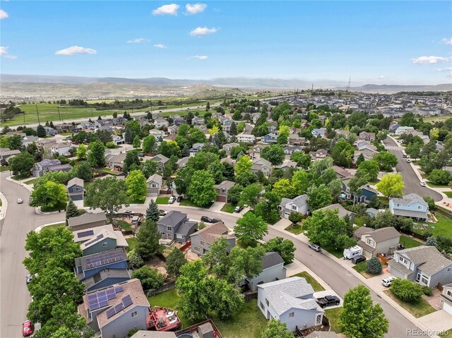 4393 E Andover Ave, Castle Rock, CO 80104 - photo 39