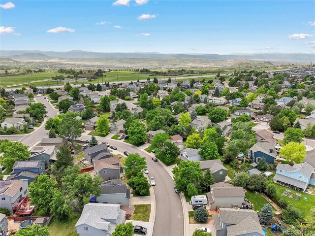 4393 E Andover Ave, Castle Rock, CO 80104 - photo 40
