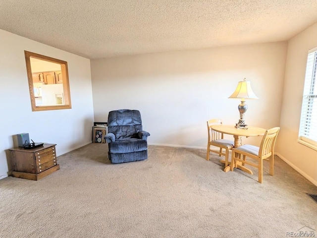 living area with carpet and a textured ceiling