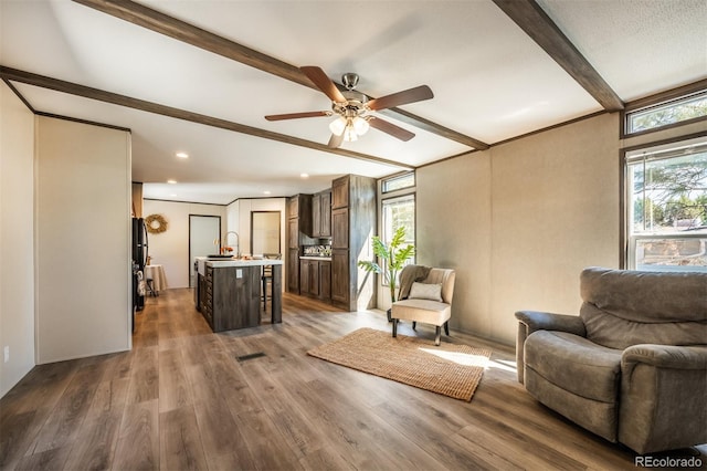 living room featuring dark hardwood / wood-style flooring, a healthy amount of sunlight, ceiling fan, and beam ceiling