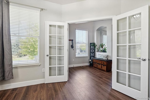 doorway featuring french doors, dark wood-type flooring, and plenty of natural light