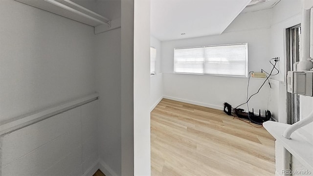 spacious closet with wood-type flooring