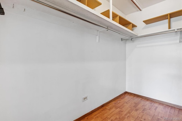 spacious closet featuring hardwood / wood-style flooring