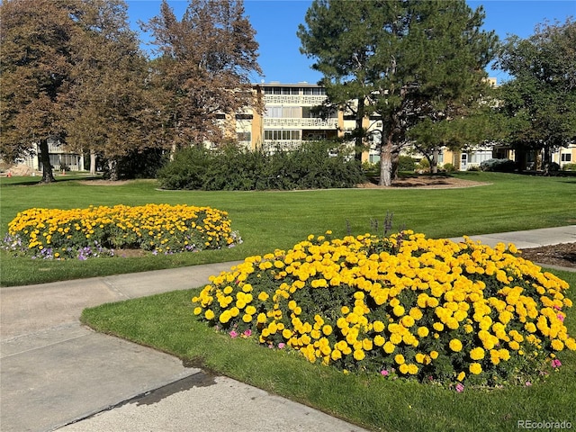 surrounding community with a yard