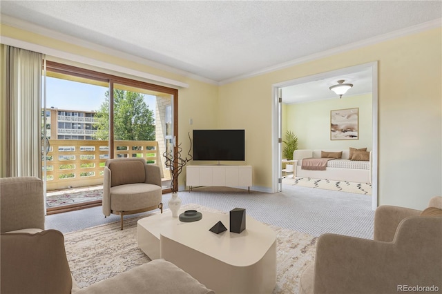 carpeted living room with crown molding and a textured ceiling