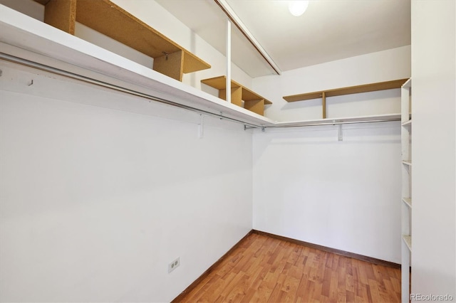 660 S Alton Way Unit 3B, Denver, CO 80247 - walk in closet featuring light wood-style flooring