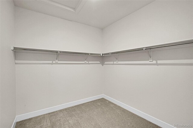 8530 W 52nd Ave Unit A1, Arvada, CO 80002 - spacious closet featuring carpet floors