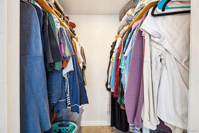 spacious closet featuring carpet