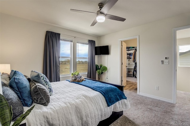 carpeted bedroom with a walk in closet, baseboards, a closet, and ceiling fan