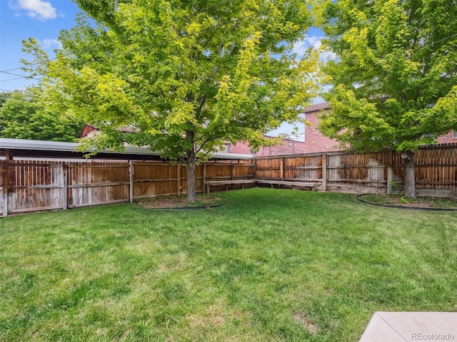 511 N Washington St, Denver, CO 80203 - photo 15