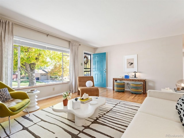 living room with hardwood / wood-style floors