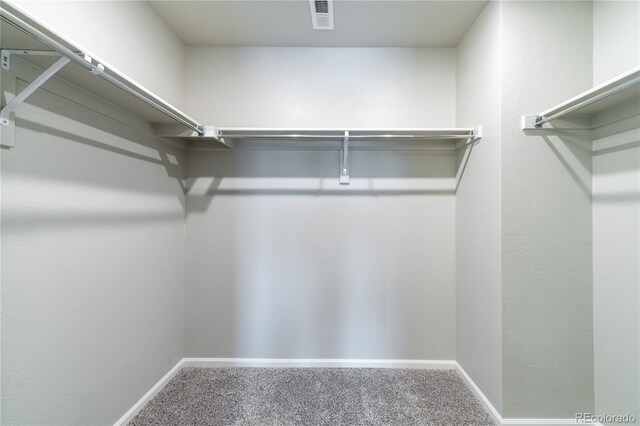 12213 Race St, Northglenn, CO 80241 - spacious closet with carpet flooring