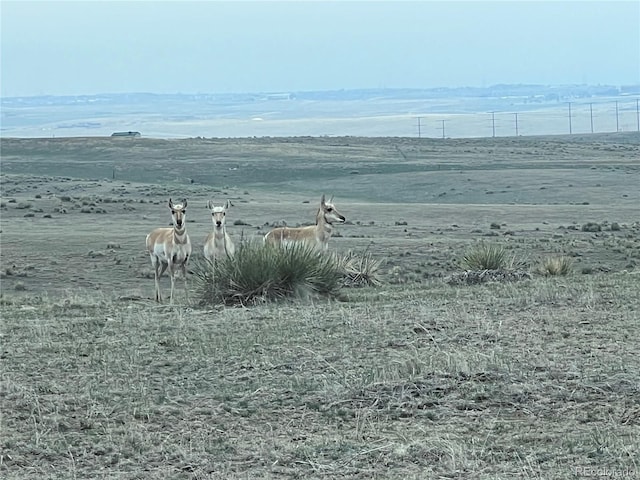 34501 E Quincy Ave, Watkins, CO 80137
