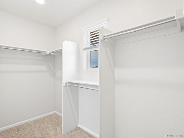 2721 73rd Avenue Ct, Greeley, CO 80634 - photo 29