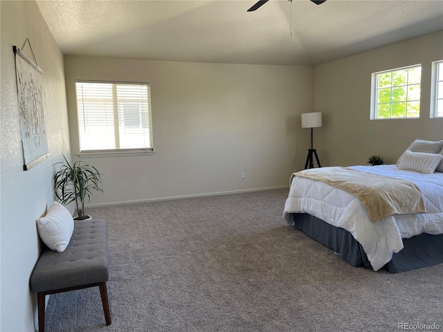 4844 Mt Evans St, Brighton, CO 80601 - carpeted bedroom with baseboards and a ceiling fan
