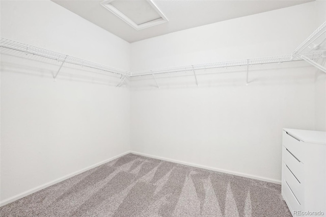4844 Mt Evans St, Brighton, CO 80601 - spacious closet featuring light colored carpet and attic access