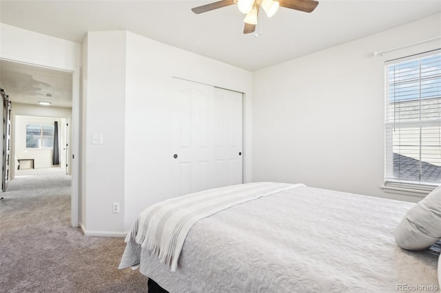 4844 Mt Evans St, Brighton, CO 80601 - carpeted bedroom with multiple windows, a closet, and a ceiling fan