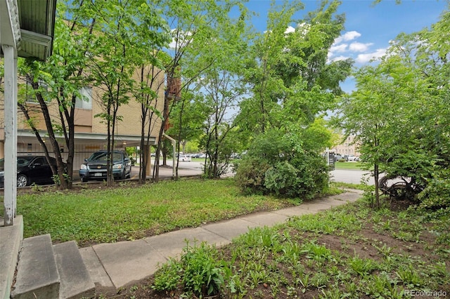1900 S University Blvd, Denver, CO 80210 - view of yard