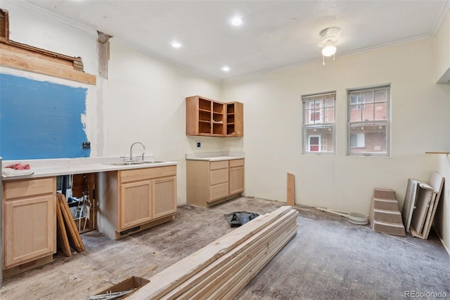 1900 S University Blvd, Denver, CO 80210 - kitchen with light brown cabinets, a sink, crown molding, open shelves, and recessed lighting