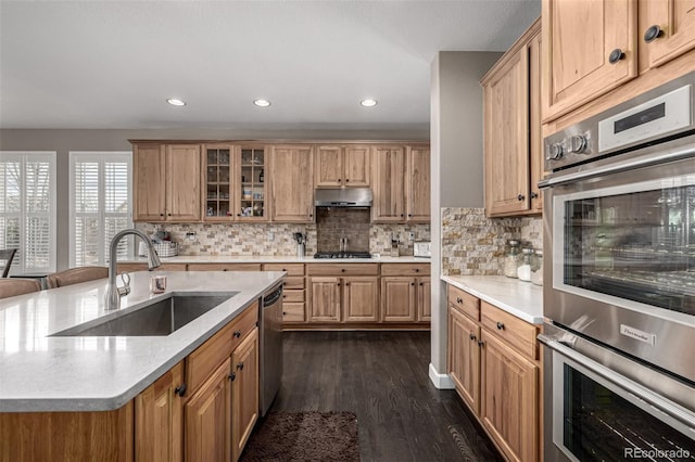 kitchen featuring stainless steel appliances, tasteful backsplash, a sink, and under cabinet range hood