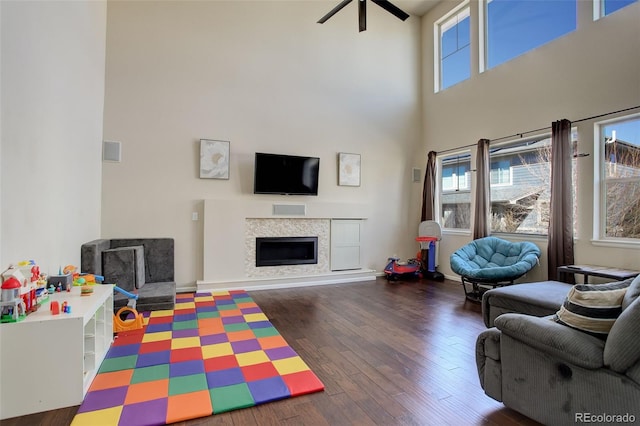 living area with a fireplace, a towering ceiling, and wood finished floors