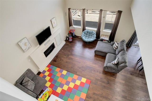 living room featuring wood-type flooring and a fireplace