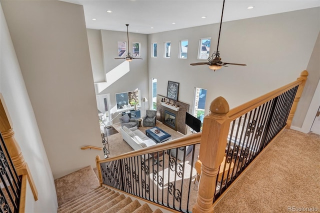 stairs featuring carpet flooring, ceiling fan, and a towering ceiling