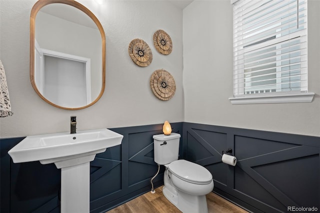 624 Simmental Loop, Castle Rock, CO 80104 - bathroom featuring wood finished floors, wainscoting, and a decorative wall