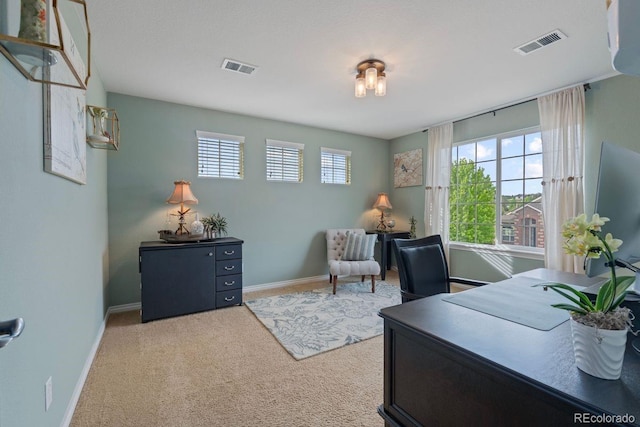 7408 Sodalite Way, Castle Rock, CO 80108 - carpeted office space with baseboards