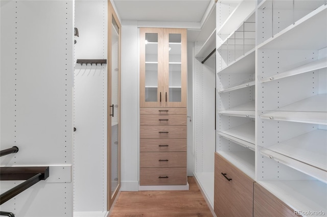 spacious closet featuring light wood-style floors