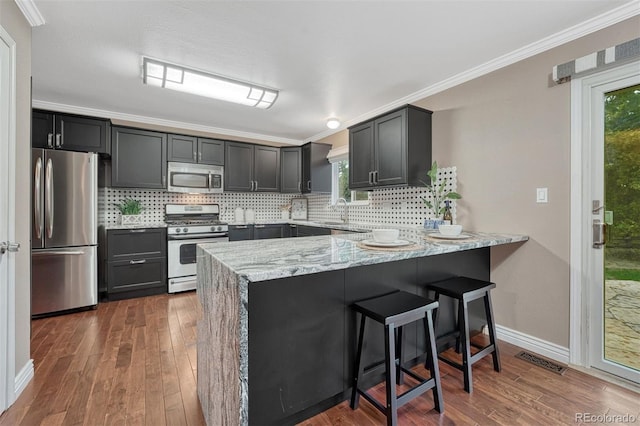 123 Wheat Ridge St, Palmer Lake, CO 80133 - kitchen with appliances with stainless steel finishes, a peninsula, light stone counters, tasteful backsplash, and dark wood finished floors