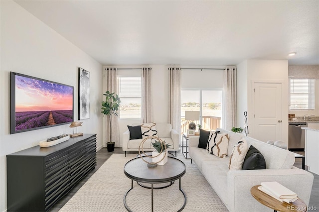 living room with hardwood / wood-style floors