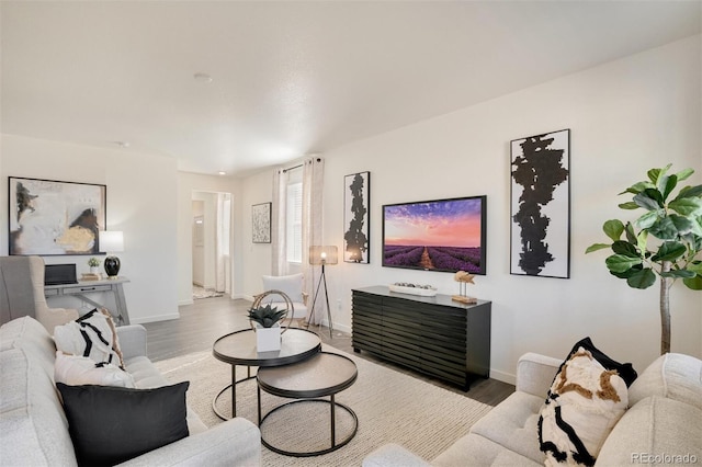 living room with hardwood / wood-style flooring