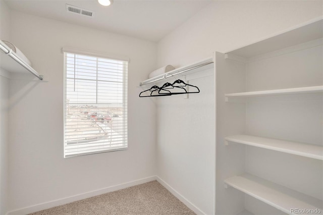 spacious closet with carpet flooring