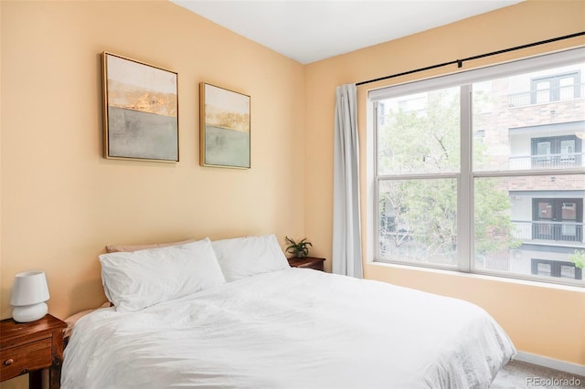 1440 Little Raven St Unit 202, Denver, CO 80202 - bedroom featuring baseboards and carpet floors