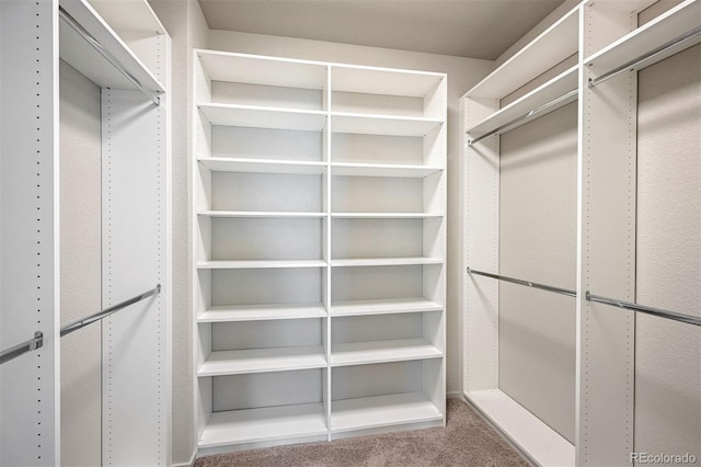 walk in closet with carpet