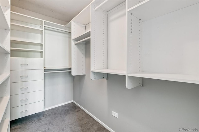 595 S Alton Way Unit 7B, Denver, CO 80247 - walk in closet with carpet floors