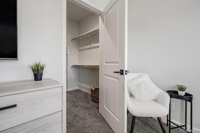 walk in closet featuring carpet flooring